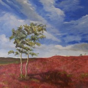 Stanton_moor_-_side_by_side_card