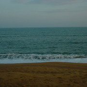 Dsc01207_card