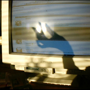 4928846146_837baf0c3b_card