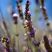 _dsc0034_card