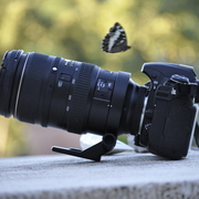 _dsc0332_card