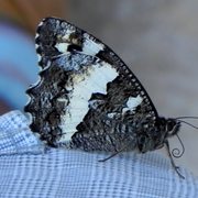 Dscn2891_card
