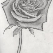 Shaded_rose_card