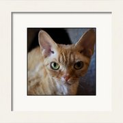 Renderer-47_card