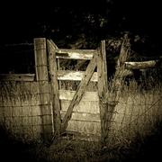 Meadow-gate-michael-l-kimble_1__card