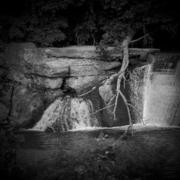 Tree-dam-michael-l-kimble_1__card