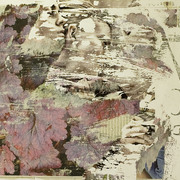 Collage15_card