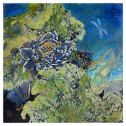 ______60x60cm__5___card