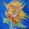 1_kansas_sunflower_004_thumb