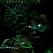 Camuflage_card