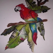 Img00057-20110616-1832_card