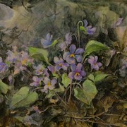 Violets0001_card