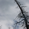 Ajay_002_thumb