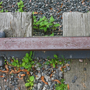 Rail_1_card