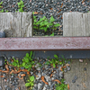 Rail_1_thumb