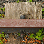 Rail_2_card