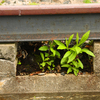 Rail_3_thumb