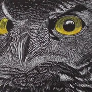 Owl-d_card