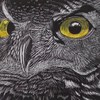 Owl-d_thumb
