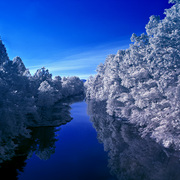 Rivanna-river_card
