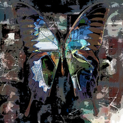 Butterfly_color7cpg_card