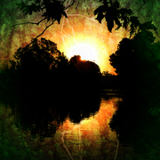 Deepjungle_card