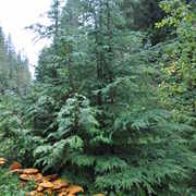 Hunt_sept_2010
