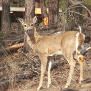 201_9469_card