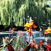 Dsc_017polson_park_3_card