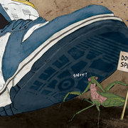 Animal-rights_card