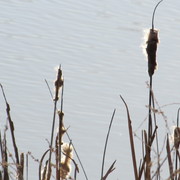 Img_1058_card
