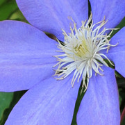 Img_5039_card