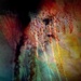 S7305941_square