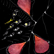 File00046_copy_card