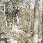 Landscapes-6201951_card