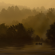 Morning_catch_card