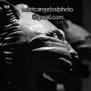 Dsc_0101_card