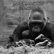 Dsc_0654_card