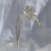 Kolibrie1_thumb