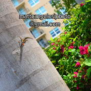 Dsc_2007_card