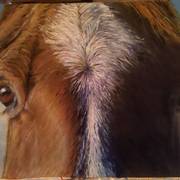 Img_20110310_163336_card