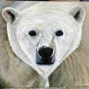 Img_20110417_140812_card