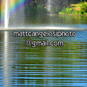 Dsc_3206_card