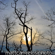 Dsc_0246_card