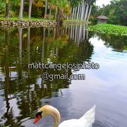 Dsc_2232_card