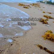 Dsc_2626_card