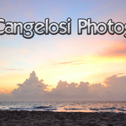 Dsc_2512_card