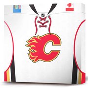 Calgary_flames_primary_jersey_white_card