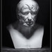 Dorian-seneca_square