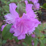 Img_9736_card